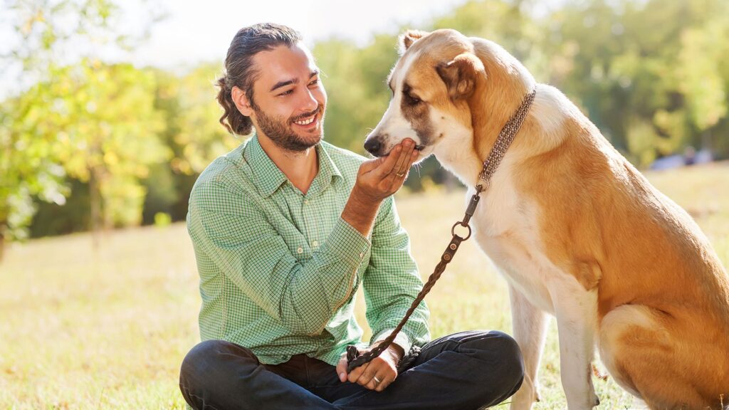 Cómo registrar a tu perro en el RENIAN