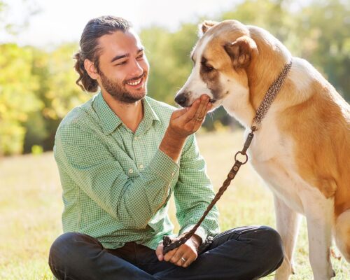 Cómo registrar a tu perro en el RENIAN